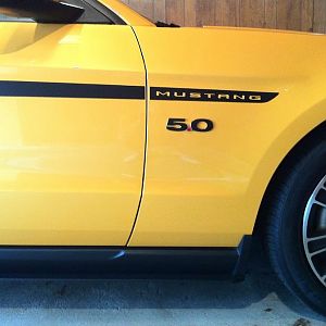 Stripes and 5.0 Black out