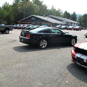 Other Shows/Ford dealer up north