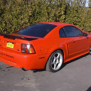 2000 GT Mustang