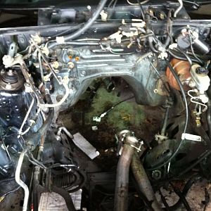 steves winter project