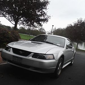 Stang