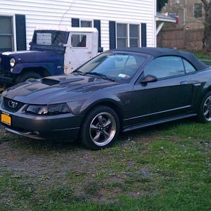 when i first got her