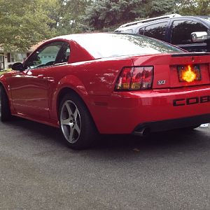 99cobra