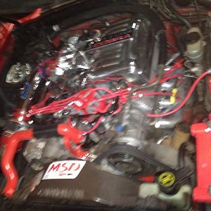 Geting the stang ready for Belmount show