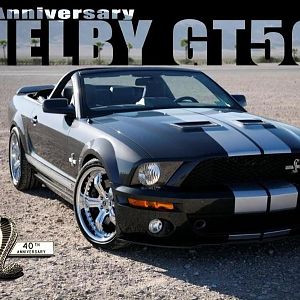 My 40 th GT 500 2007