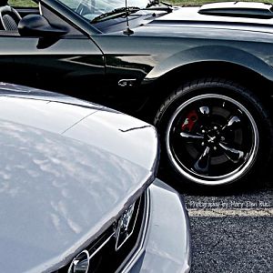 Harbor House Photography 6.28.12