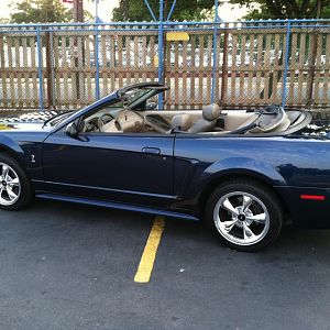 2001 SVT Cobra Convertible