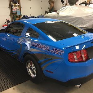 Rick and Jens Mustangs