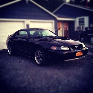 Few pics of my mustang