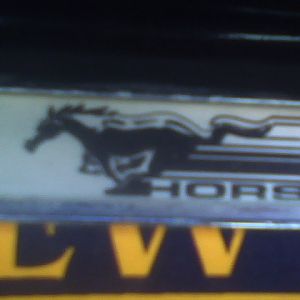 5 YEAR OLDS VIEW OF WWP CRUISE