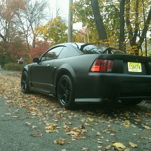 2000 gt mustang
