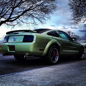 Mustang