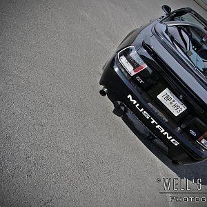 Carlisle Performance and Style 2012