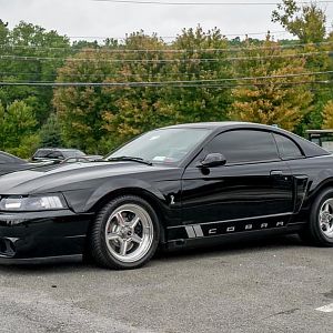 2003 SVT Cobra