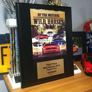 Wildhorses car show 5/4/14