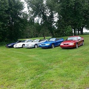 The family of Mustangs!