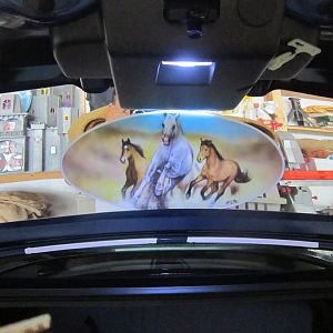 Trunk Lid 2009 Ford Mustang GT