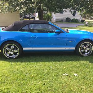 2010 Mustang Photos