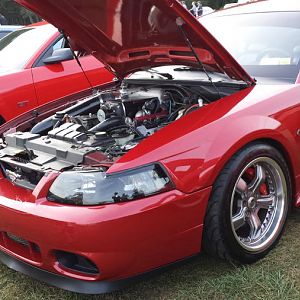 Bronx last meet n cruise of the season12/14