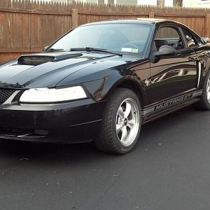 The Wip (work in progress)