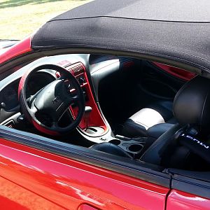 8/23/15 Updated Photo's