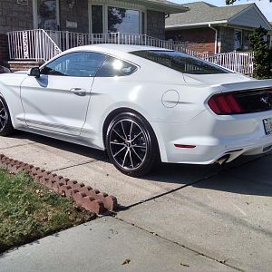 2017 Eco-Boost Mustang