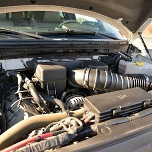 Dealer photos of my F150 Limited