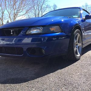 03 Cobra pics