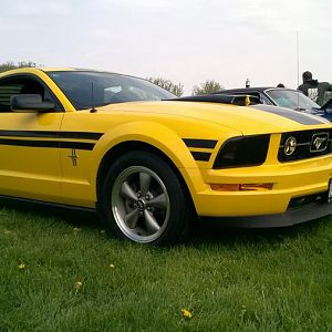 Mustangs at Franklinville Maplefest