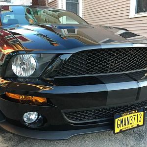 my 2009 GT500