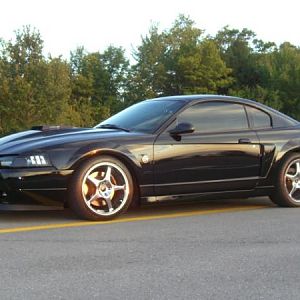 After I lowered her.