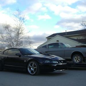 The day I got my 67 Fastback home.