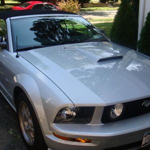 How I brought her home.