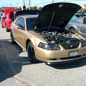 Show in Riverhead-the s-197 on right is a P51A Roush 
510 HP+