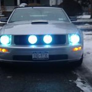 New hids