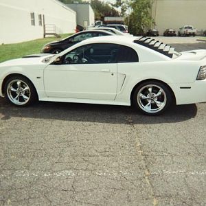 2000 mustang gt 006