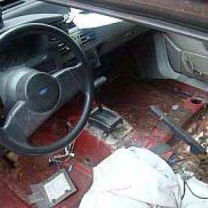 After removing the carpet and a ton of mouse crap