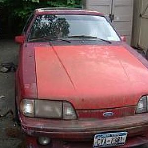 day I brought it home