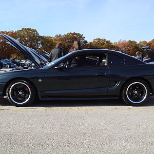 belmont 11 02 08 036