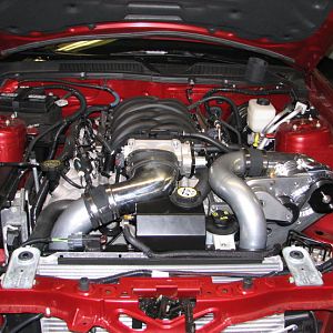 Built By Snakepitperformance. LI. NY