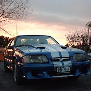 mystang5