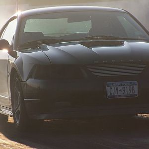 light out trying for gains :)