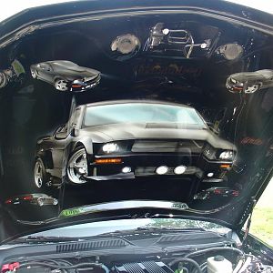 2005 Mustang Hood (82)