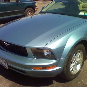 mustang1