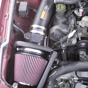 new intake (feb/09)