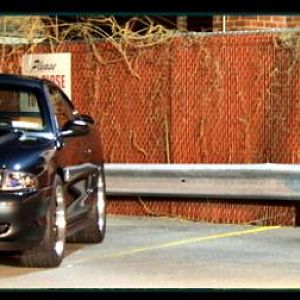 Mustangs2 20 09049 1