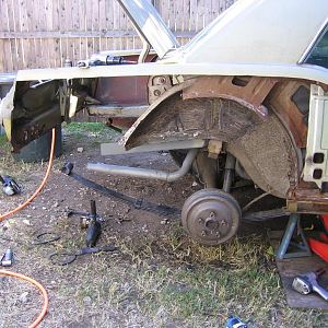 "Just a little Trim"