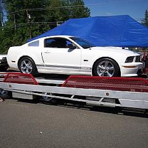 Shelby Dyno 505 rwhp