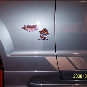 1965 66 mustang Hi-po emblems and the Taz is hand painted