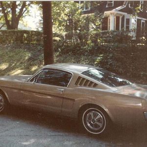 My 66 G.T. Fastback